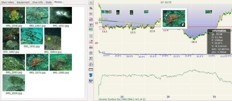 FIGURE:Thumbnail photo on dive profile