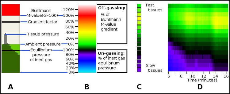 Figure: Mapa de calor de gases inertes en los tejidos 