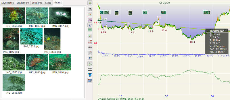 FIGURE: Photos on dive profile