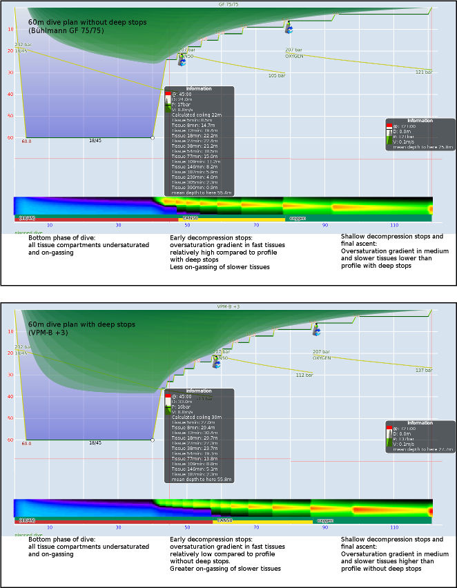 Figure: Inert gas tissue pressure heat-map