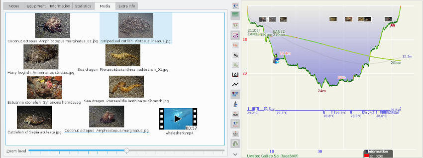 FIGURE: Media on dive profile