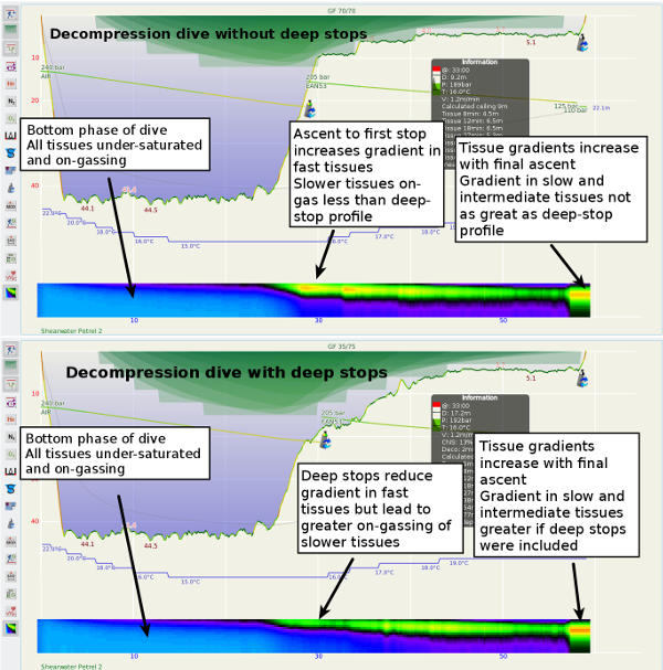 Figure: Inert gas tissue pressure heat-map