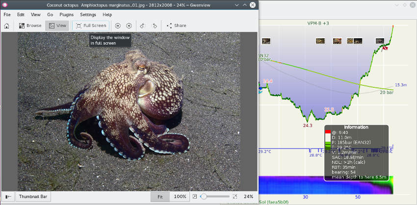 FIGURE: Full-screen photo on dive profile