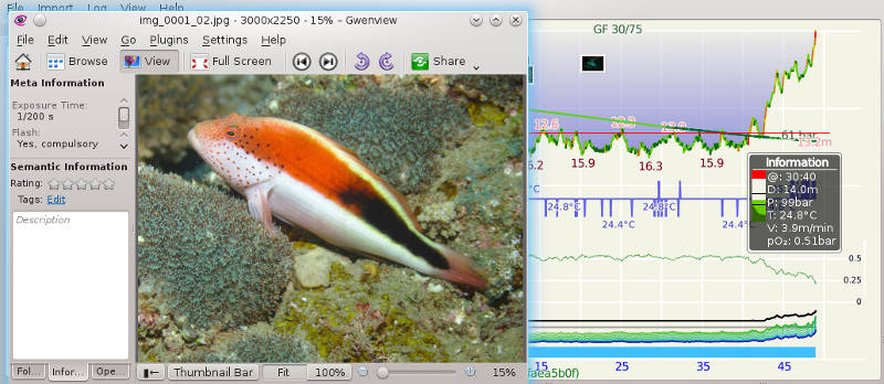 FIGURE: Full-screen photo on dive profile