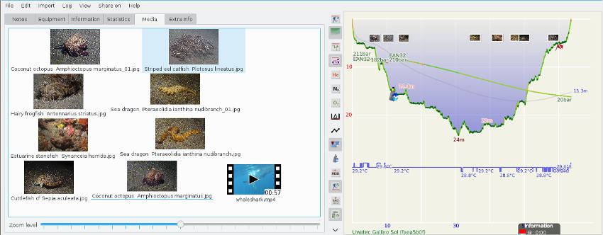 FIGURE: Media on dive profile