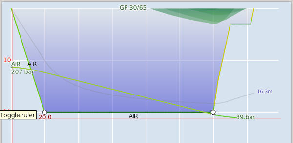 FIGURE: Edited dive profile