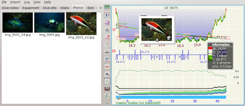 FIGURE:Thumbnail photo on dive profile