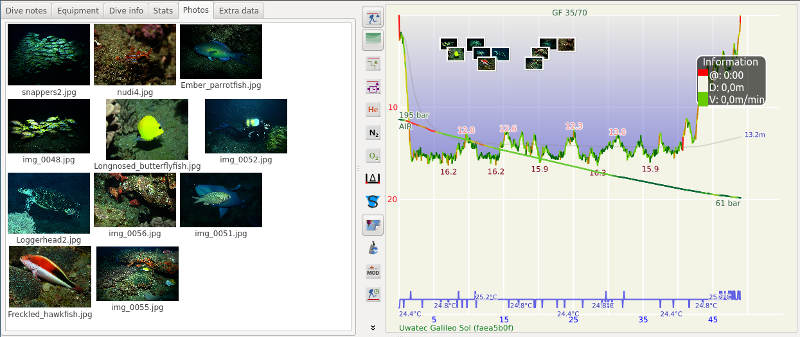 FIGURE: Photos on dive profile