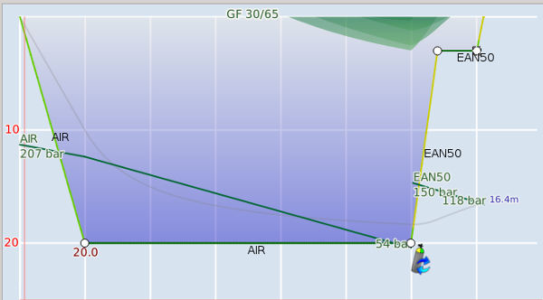 FIGURE: Perfil de inmersión completado