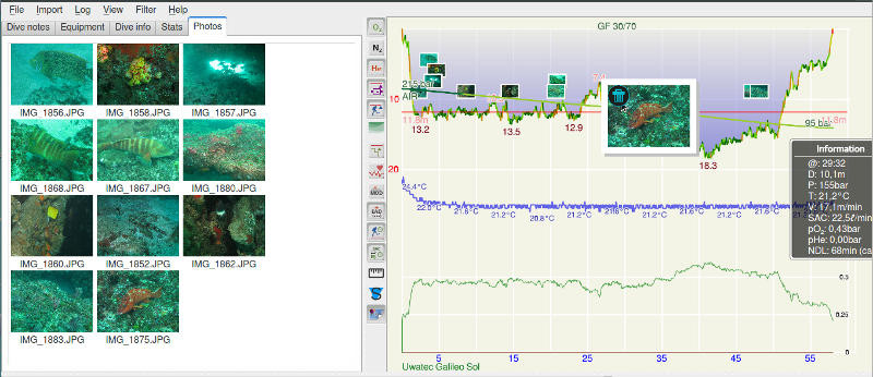 FIGURE:Thumbnail photo on dive profile