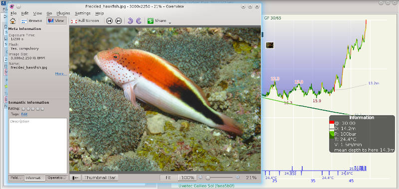 FIGURE: Full-screen photo on dive profile