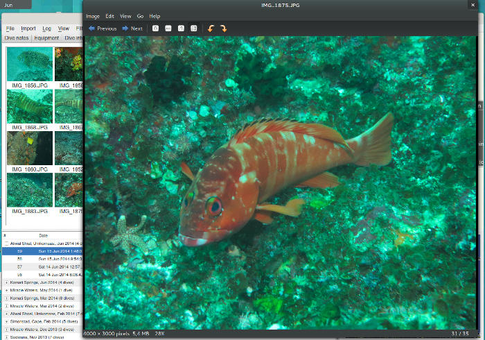 FIGURE: Full-screen photo on dive profile