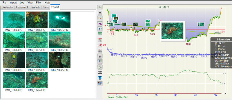 FIGURE:Thumbnail photo on dive profile