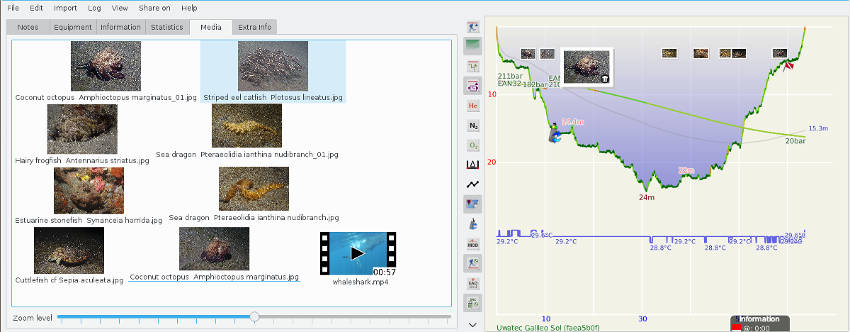 FIGURE:Thumbnail photo on dive profile