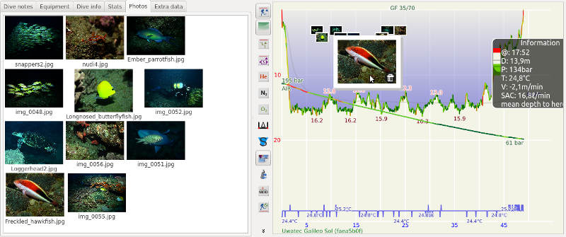 FIGURE:Thumbnail photo on dive profile